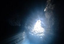 Delta varianta zpomalila návrat k cestování, nejistota bude zřejmě trvat