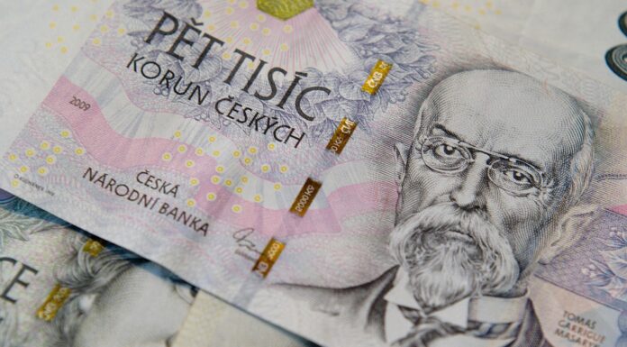 Partner pro podnikání, moderní finanční společnost ZOXO